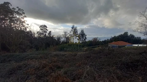 Terreno para Venda em Nogueiró e Tenões