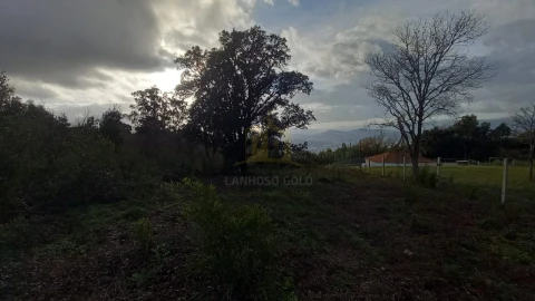 Terreno para Venda em Nogueiró e Tenões