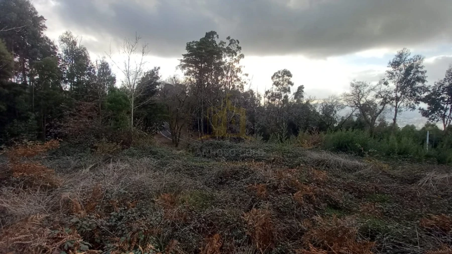 Terreno para Venda em Nogueiró e Tenões Foto 11