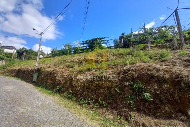 Terreno para Venda em Sobradelo da Goma Foto 5