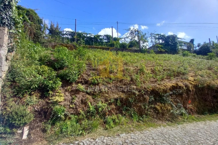 Terreno para Venda em Sobradelo da Goma Foto 6
