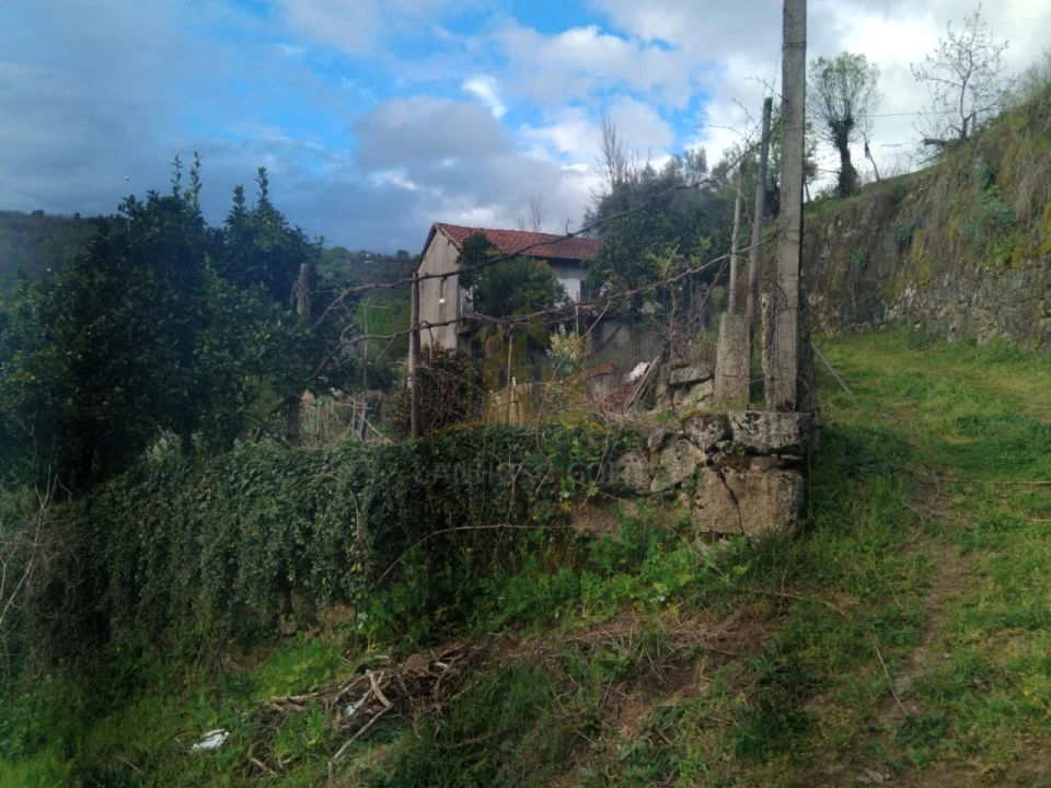 Terreno para Venda em Ferral Foto 3