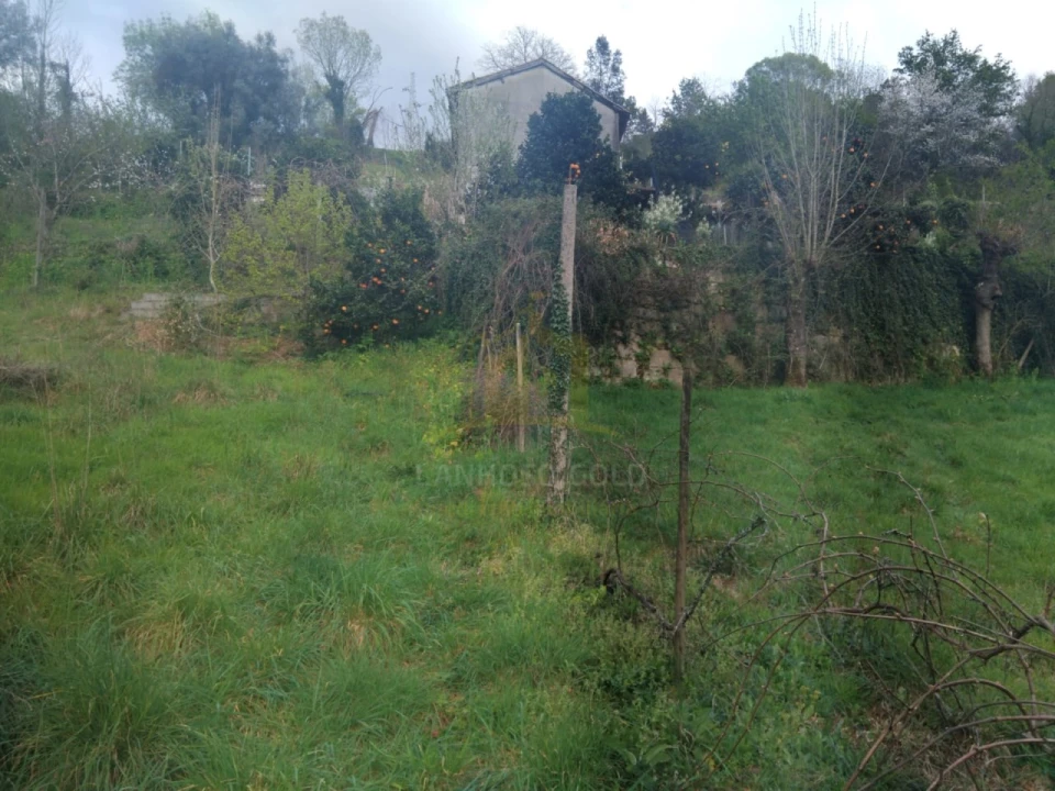 Terreno para Venda em Ferral Foto 5
