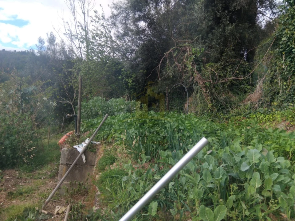 Terreno para Venda em Ferral Foto 11