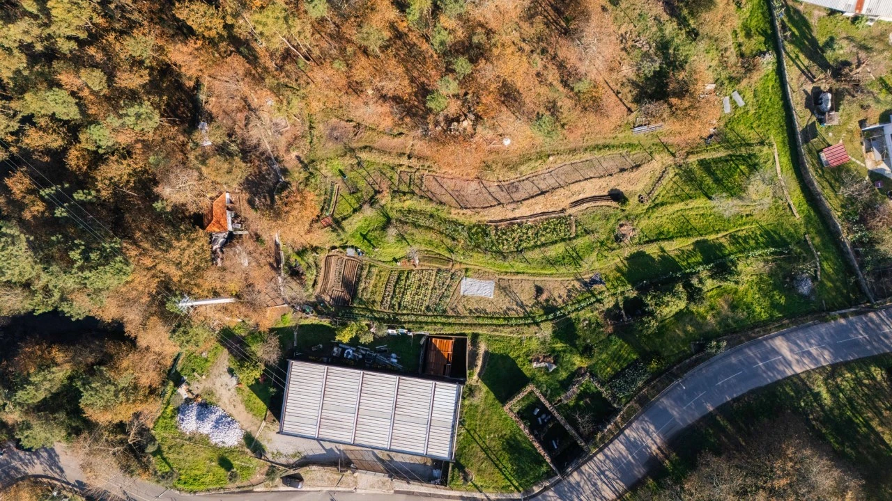 Quinta para Venda em Gonça Foto 23