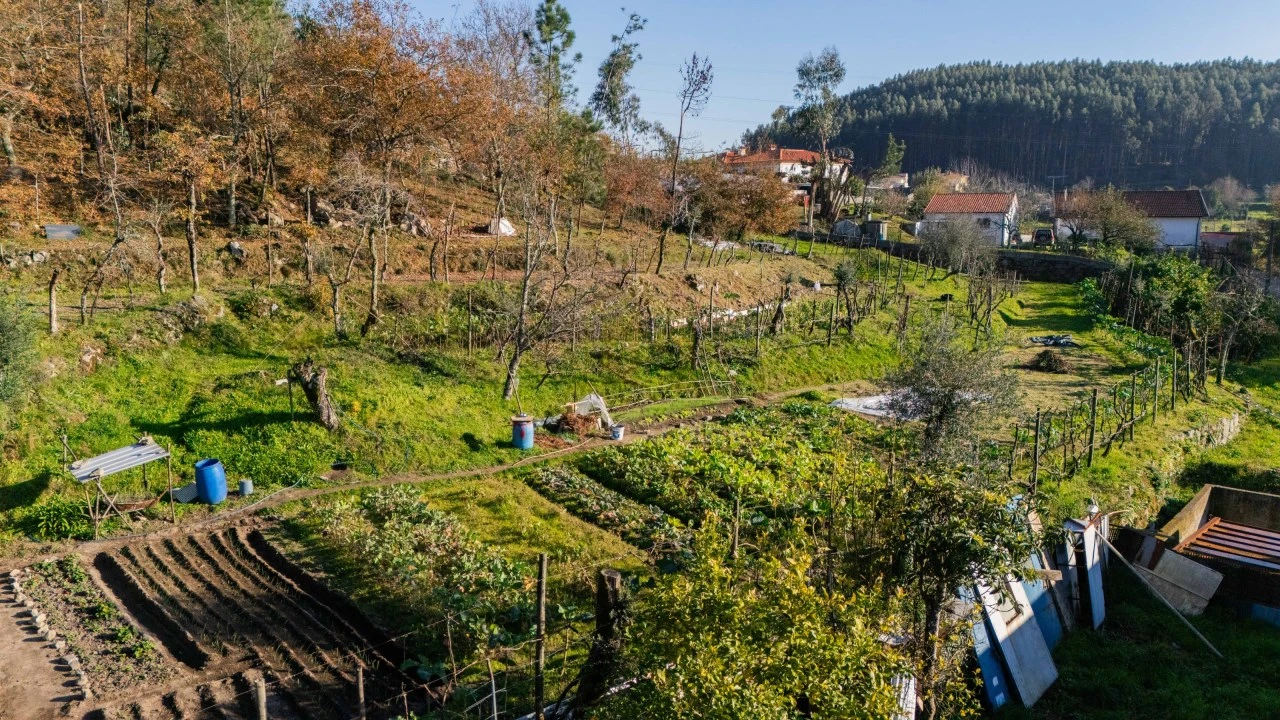 Quinta para Venda em Gonça Foto 30