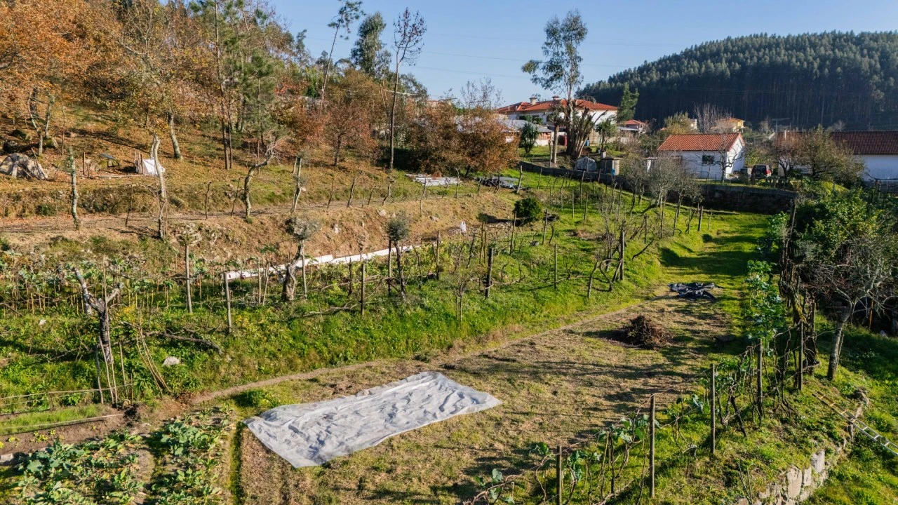 Quinta para Venda em Gonça Foto 31