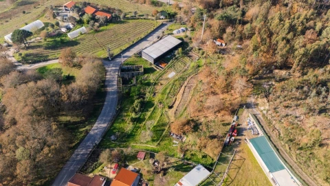 Quinta para Venda em Gonça