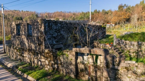 Quinta para Venda em Gonça