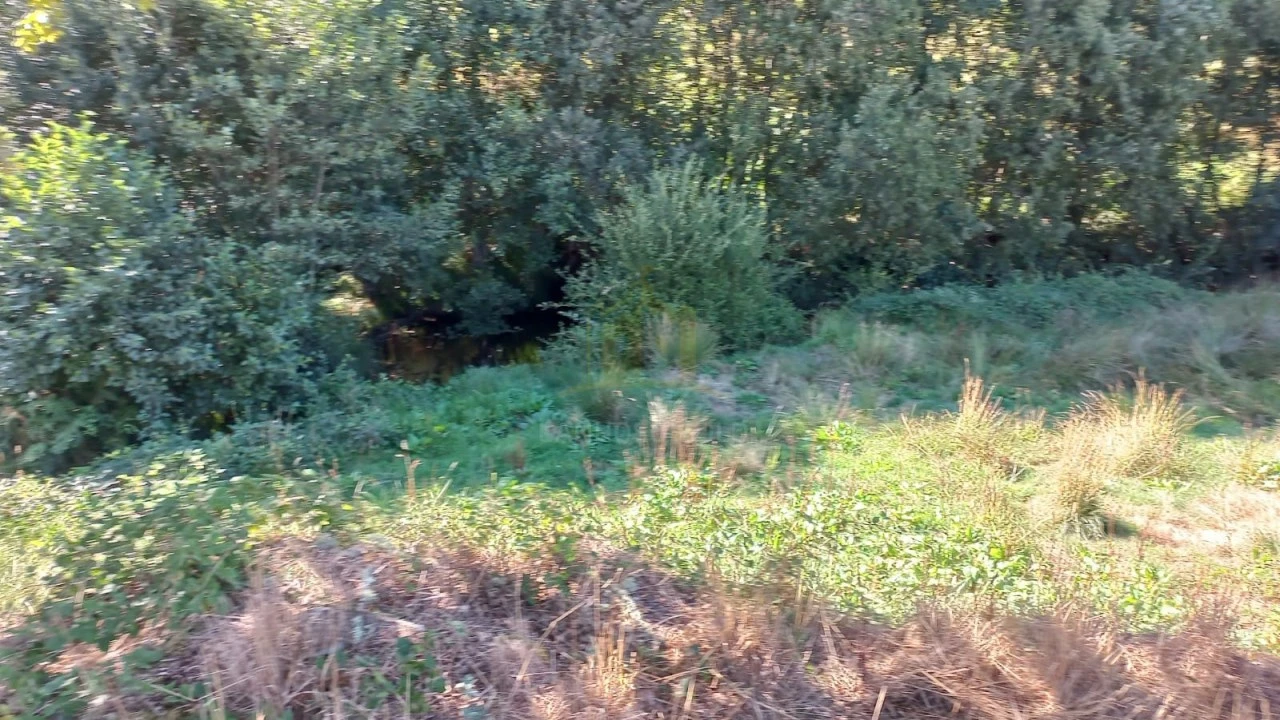 Terreno para Venda em Salto Foto 12