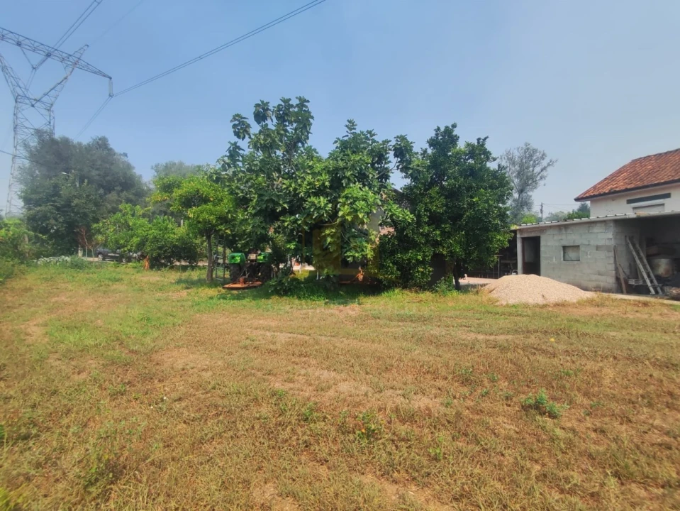 Terreno para Venda em Verim, Friande e Ajude Foto 1