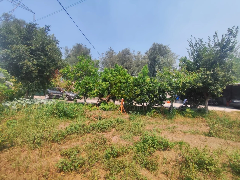 Terreno para Venda em Verim, Friande e Ajude Foto 6