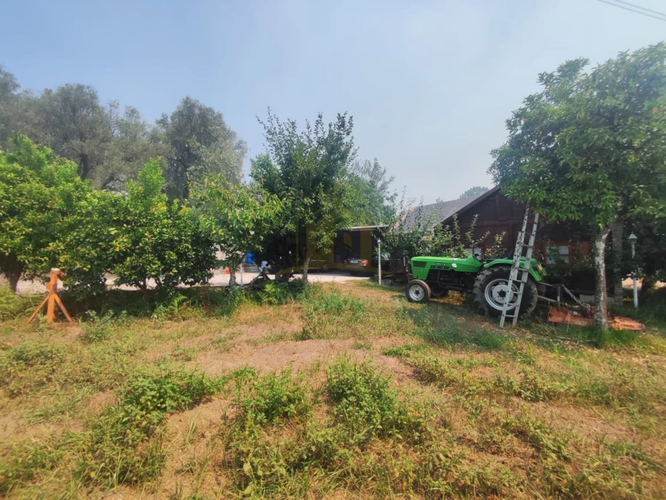 Terreno para Venda em Verim, Friande e Ajude Foto 7