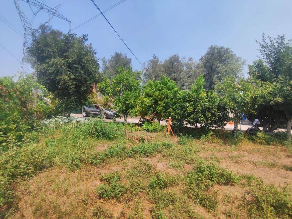 Terreno para Venda em Verim, Friande e Ajude Foto 10