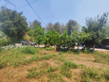 Terreno para Venda em Verim, Friande e Ajude