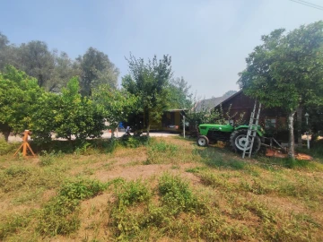 Terreno para Venda em Verim, Friande e Ajude