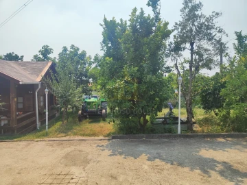 Terreno para Venda em Verim, Friande e Ajude
