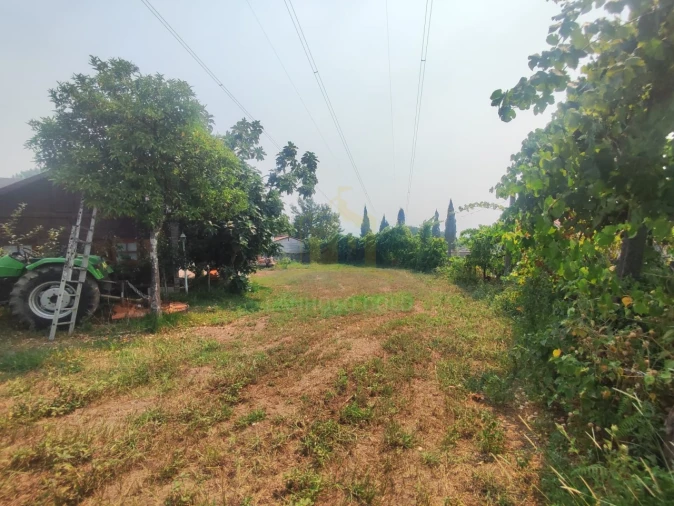 Terreno para Venda em Verim, Friande e Ajude Foto 11