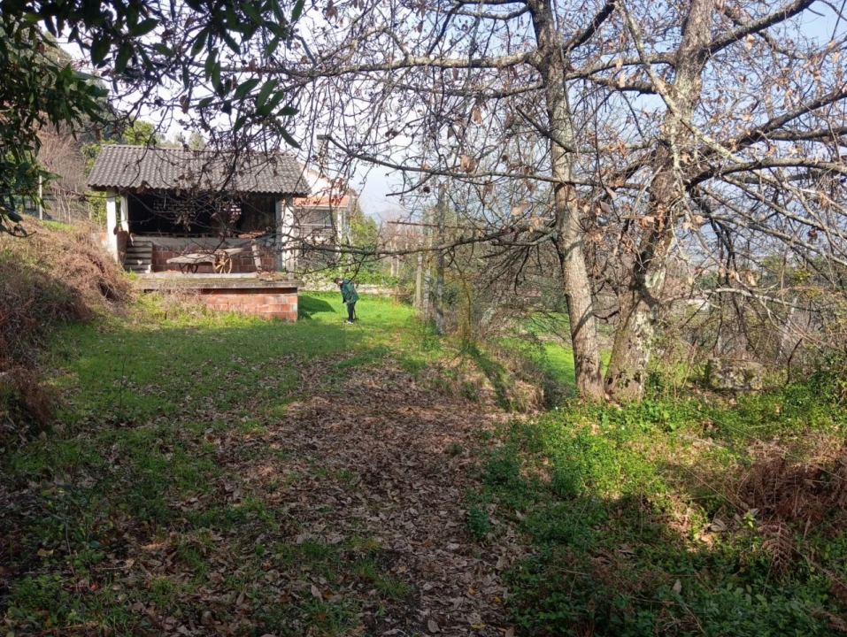 Terreno Misto para Venda em Águas Santas e Moure Foto 4
