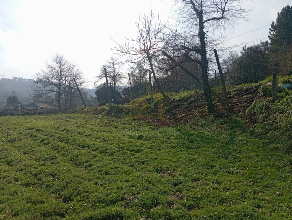 Terreno Misto para Venda em Águas Santas e Moure Foto 11