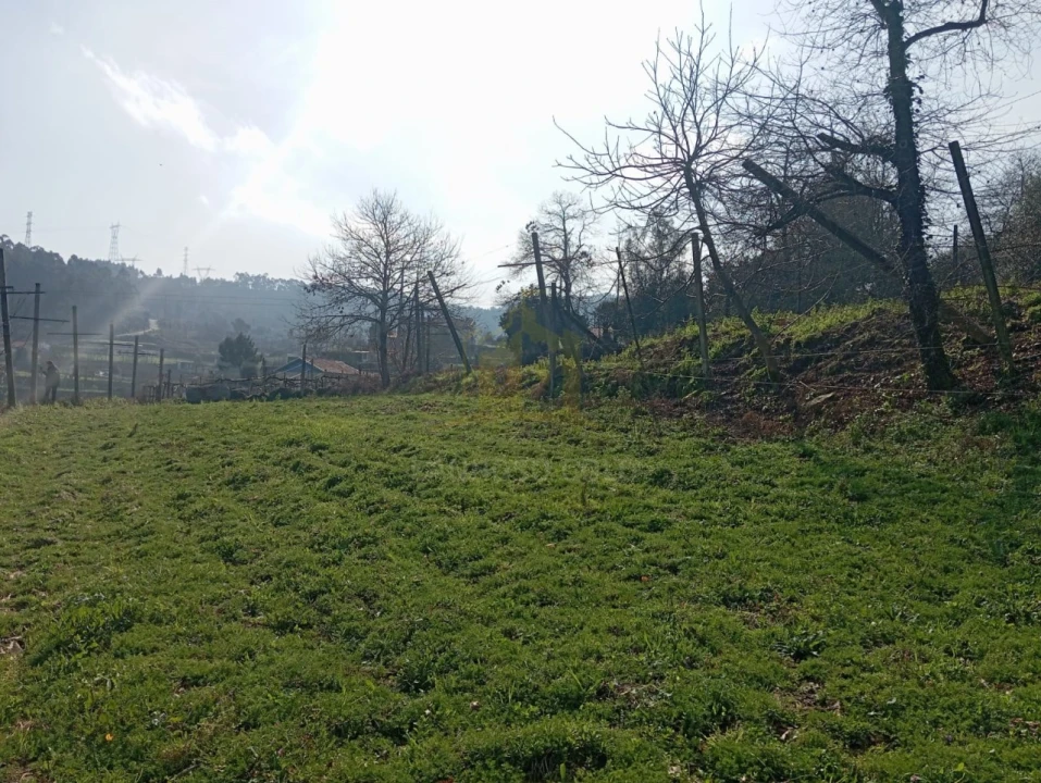Terreno Misto para Venda em Águas Santas e Moure Foto 12