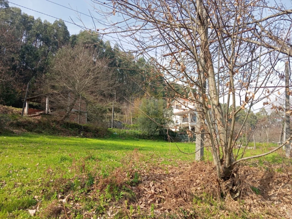 Terreno Misto para Venda em Águas Santas e Moure Foto 13