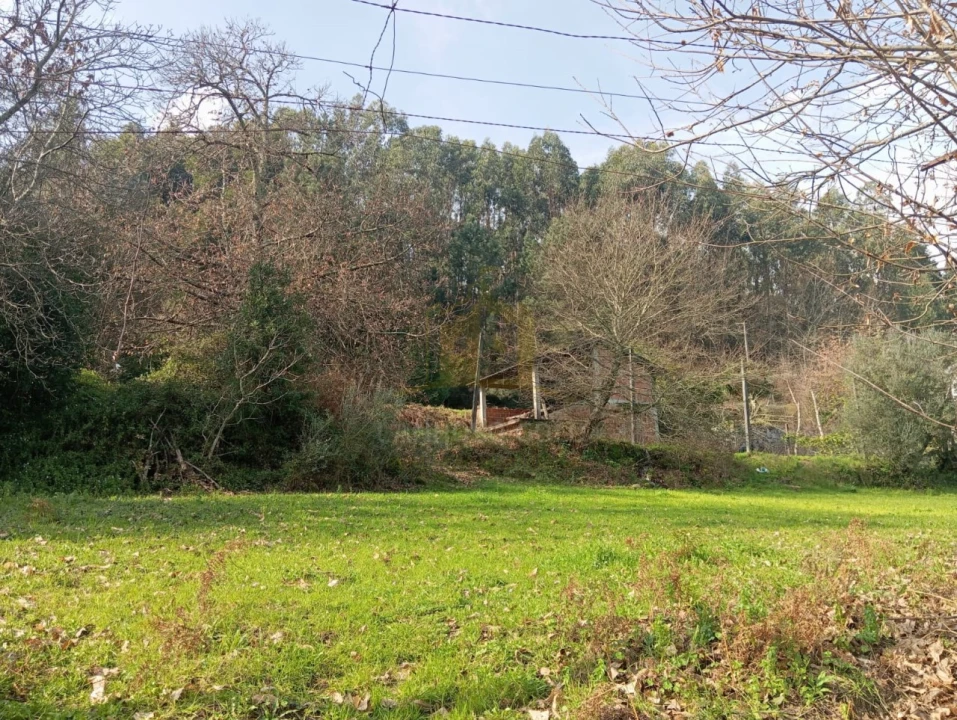 Terreno Misto para Venda em Águas Santas e Moure Foto 14