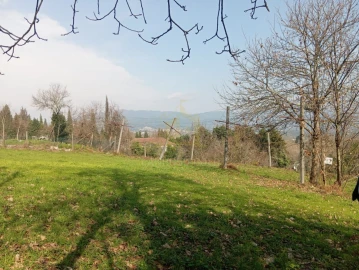 Terreno Misto para Venda em Águas Santas e Moure