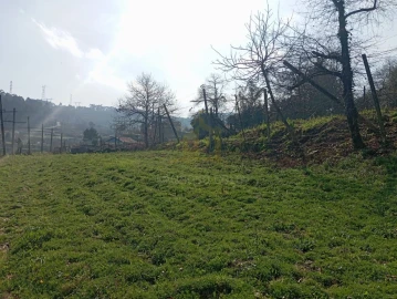 Terreno Misto para Venda em Águas Santas e Moure