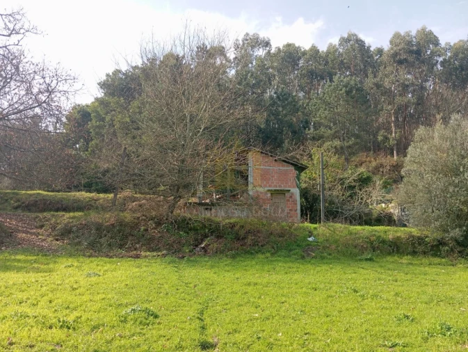 Terreno Misto para Venda em Águas Santas e Moure Foto 8