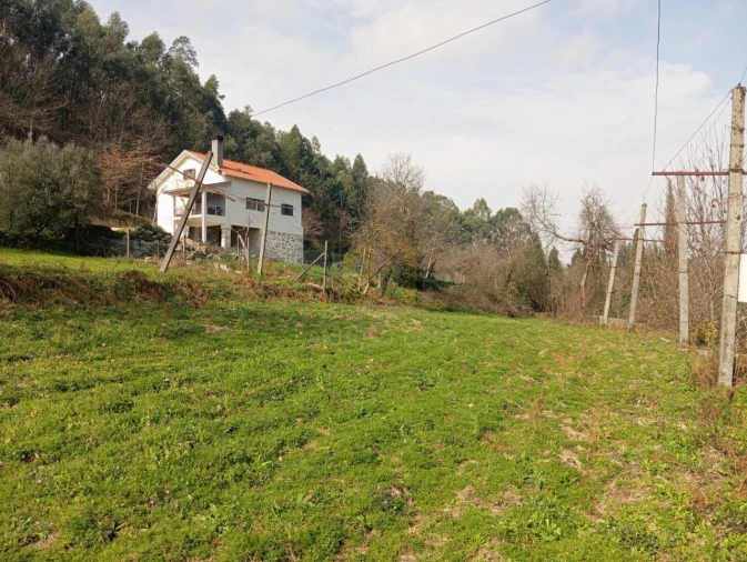 Terreno Misto para Venda em Águas Santas e Moure Foto 20
