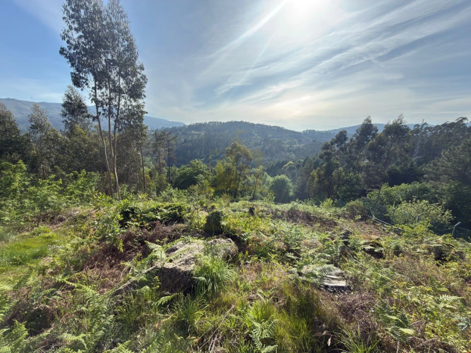 Terreno para Venda em Rossas Foto 1