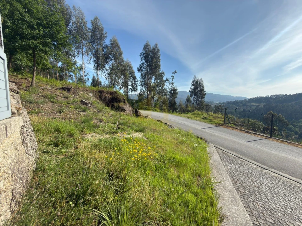 Terreno para Venda em Rossas Foto 2