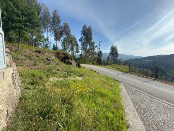 Terreno para Venda em Rossas