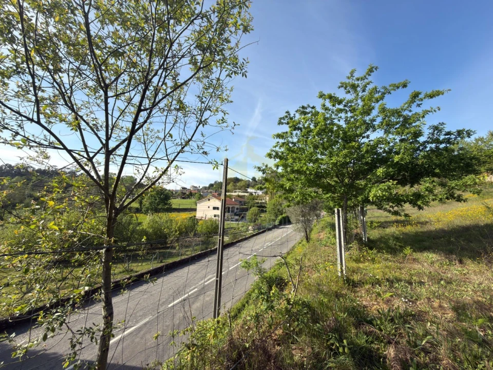 Terreno para Venda em Rossas Foto 4