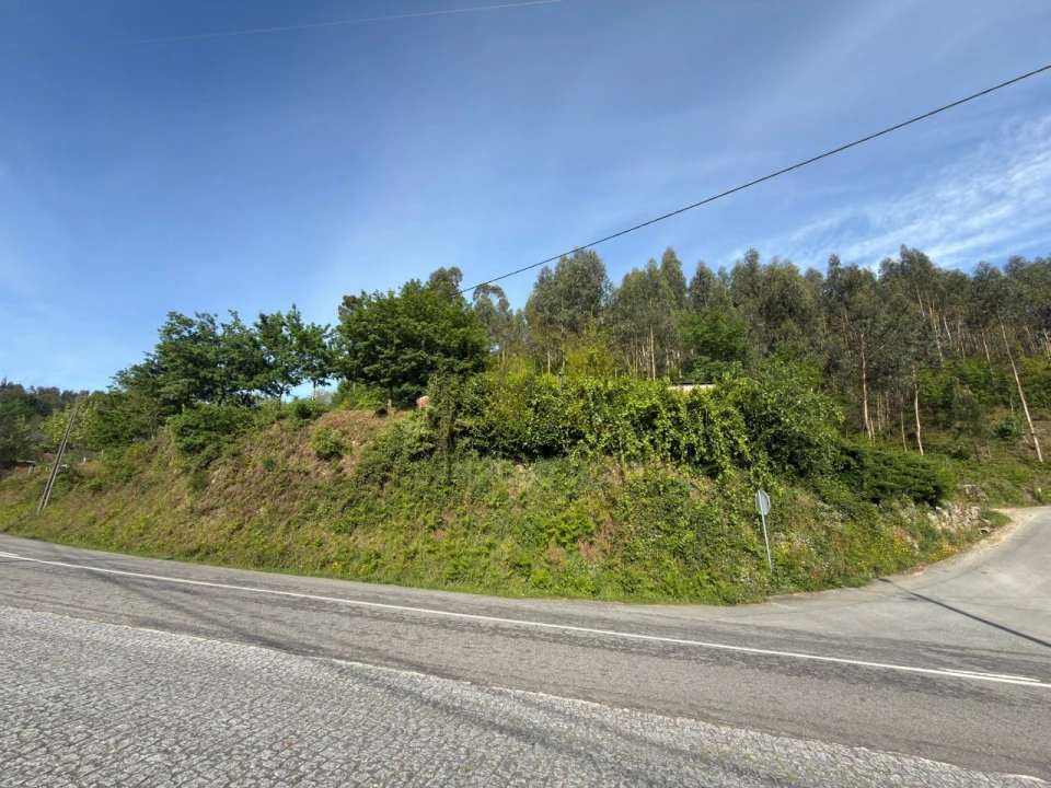 Terreno para Venda em Rossas Foto 7