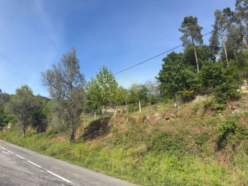 Terreno para Venda em Rossas