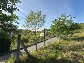 Terreno para Venda em Rossas
