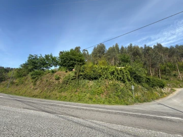 Terreno para Venda em Rossas