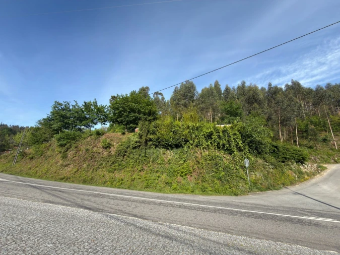 Terreno para Venda em Rossas Foto 7