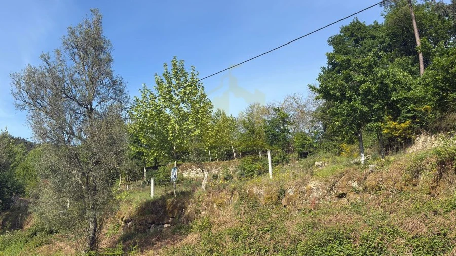 Terreno para Venda em Rossas