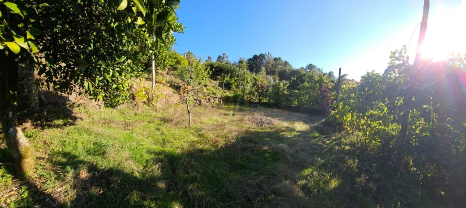Moradia T2 para Venda em Cantelães Foto 9