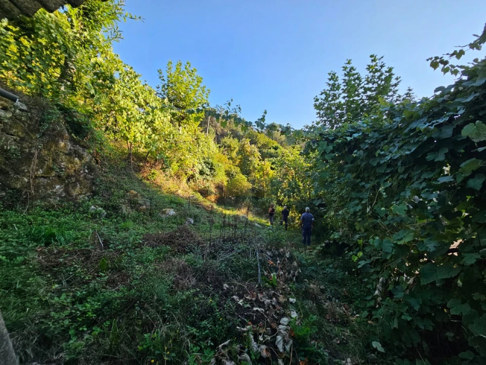 Moradia T2 para Venda em Cantelães Foto 16