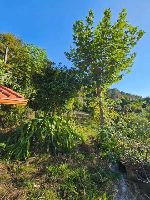 Moradia T2 para Venda em Cantelães
