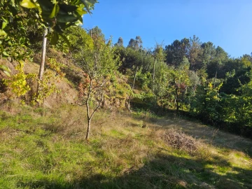 Moradia T2 para Venda em Cantelães