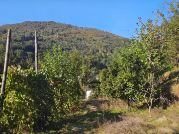 Moradia T2 para Venda em Cantelães