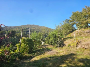 Moradia T2 para Venda em Cantelães