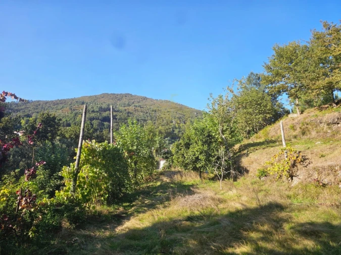 Moradia T2 para Venda em Cantelães Foto 12