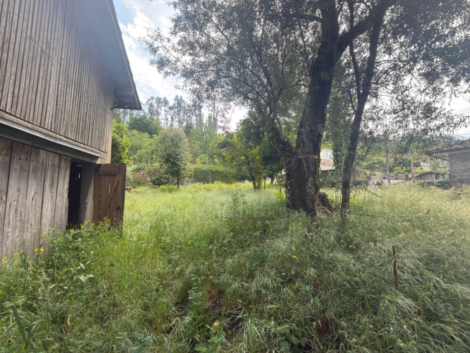 Terreno para Venda em Garfe Foto 6