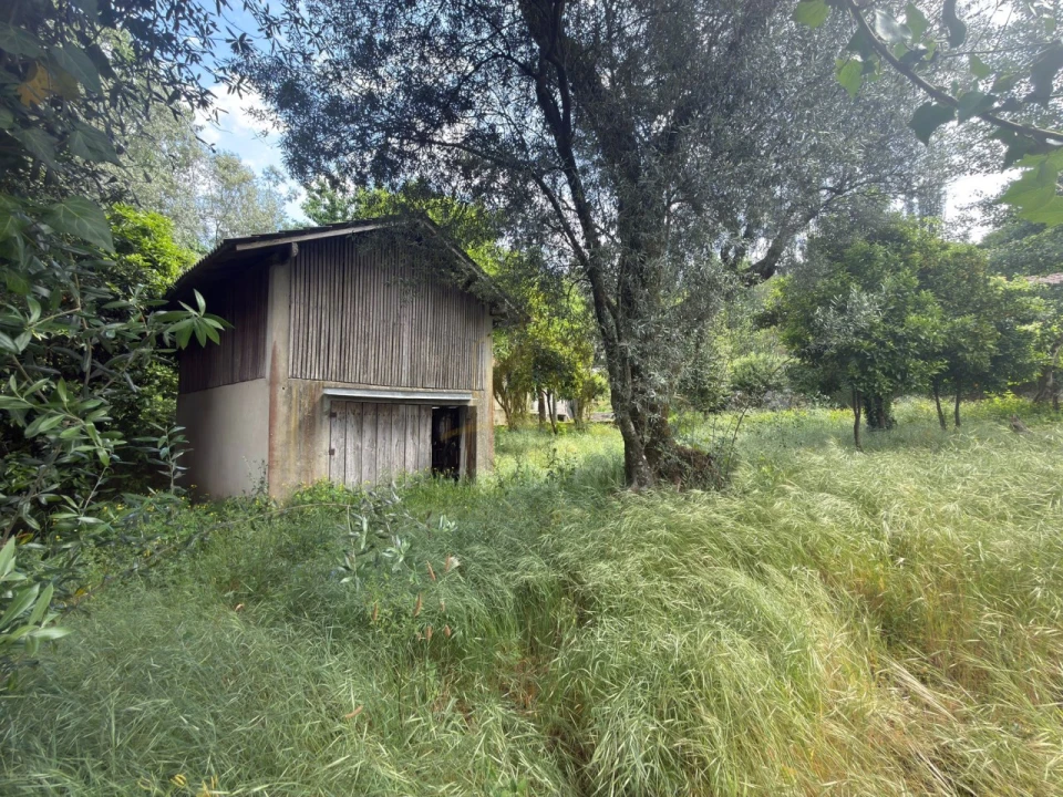 Terreno para Venda em Garfe Foto 9